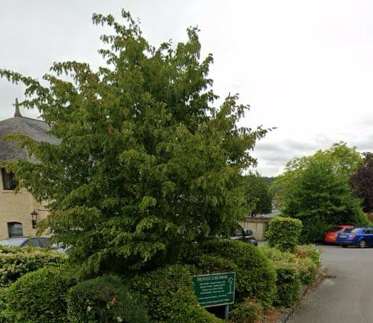 Police seek man following assault in Sturminster Newton