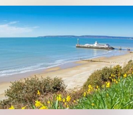 Beach murder victim named as investigation widens