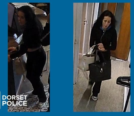 Woman sought following theft of handbag in Christchurch