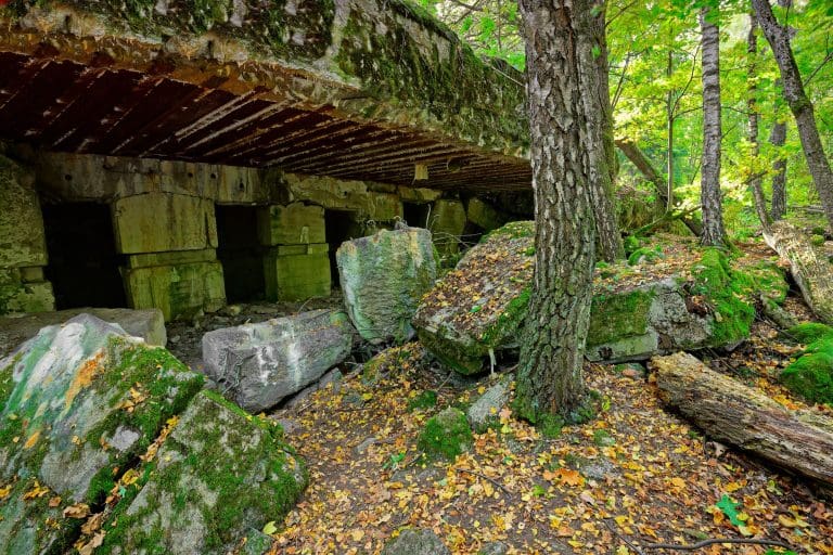 Four skeletons missing hands and feet at Wolf’s Lair but ‘insufficient evidence of foul play’