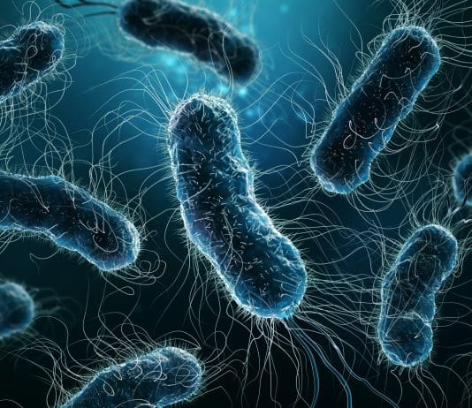 E.coli outbreak: Full list of foods that must not be consumed