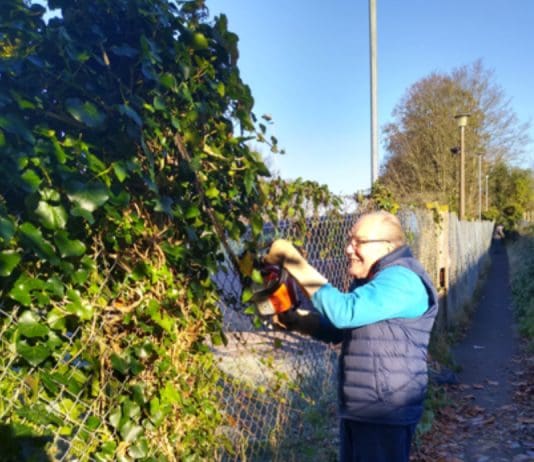 Guerrilla Gardening, Dorchester Style!