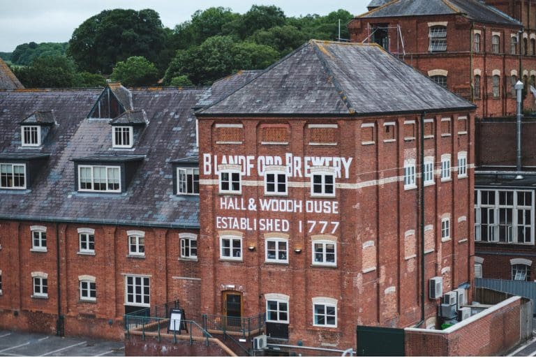 Dorset Beer festival returns to Blandford