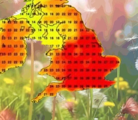 Some tips for coping with upcoming ‘Pollen Bomb’