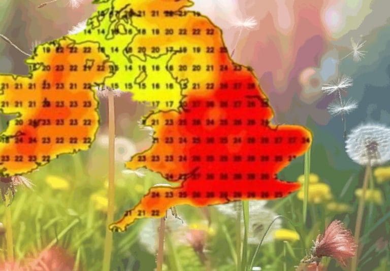 Some tips for coping with upcoming ‘Pollen Bomb’