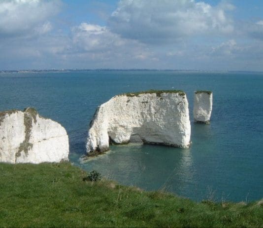 Teenager falls 60 feet from cliffs near Poole