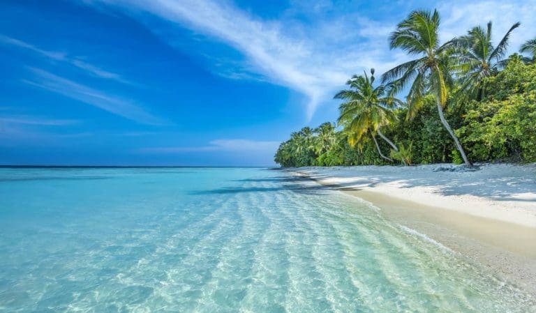 The Maldives is offering a Zionist free holiday