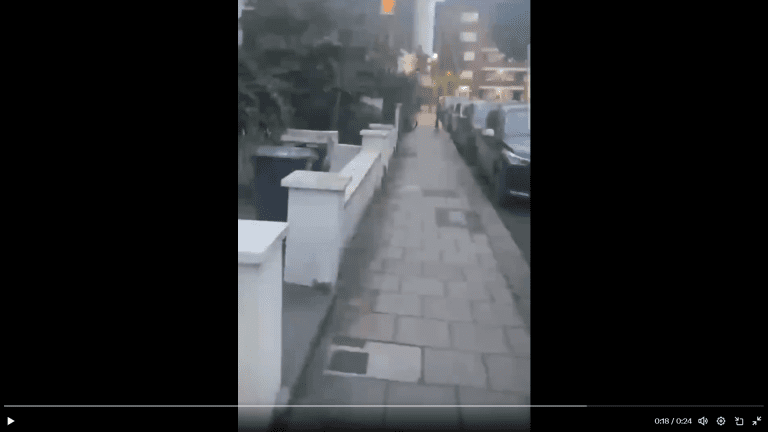 ‘Bus Wanker’ Laurence Fox accused of being ‘off his tits on cocaine’ following crash