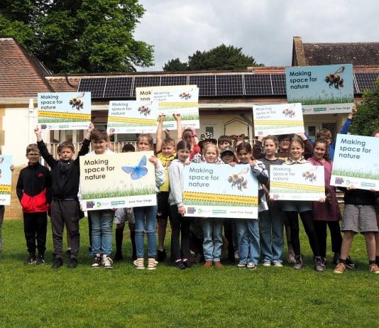 Dorset Council celebrates nature-friendly verges in new campaign