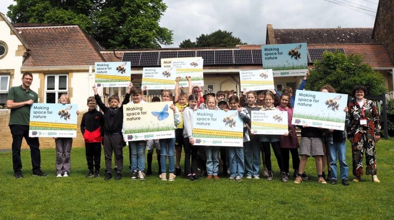 Dorset Council celebrates nature-friendly verges in new campaign