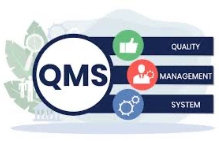 Elevating Business Performance: The Importance of Quality Management Systems