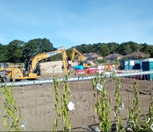 Construction on sustainable and affordable homes starts in Poole