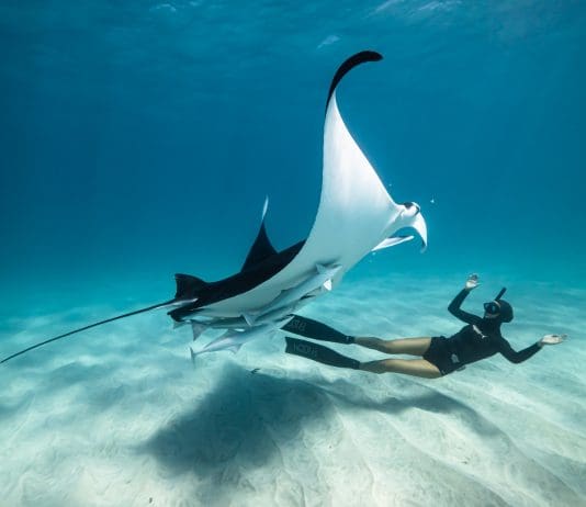 OCEAN FILM FESTIVAL WORLD TOUR COMES TO POOLE