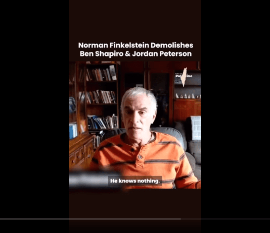 Norman Finkelstein: Ben Shapiro and Jordan Peterson make you hate men