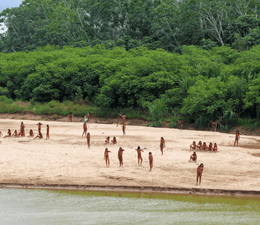 Psychopaths and Sociopaths: The Hidden Threat to Our Planet