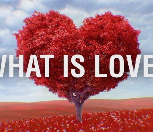 A Group of 4 to 8 Year Olds Tell Us What Love Means?