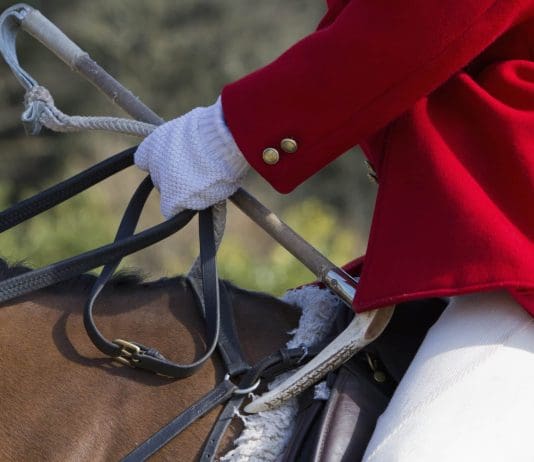 A response to Ed Swales and his deranged posse of fox hunters