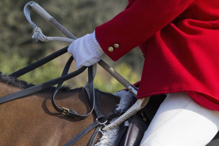 Celebrities urge Labour to act on hunting as new season of bloodshed begins