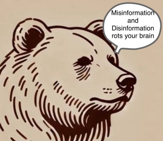 The Bear nails the far right riots and the Imane Khelif controversy