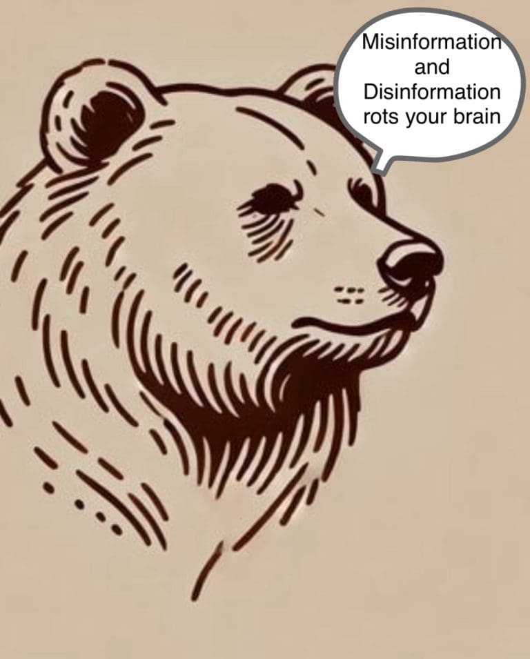 The Bear nails the far right riots and the Imane Khelif controversy