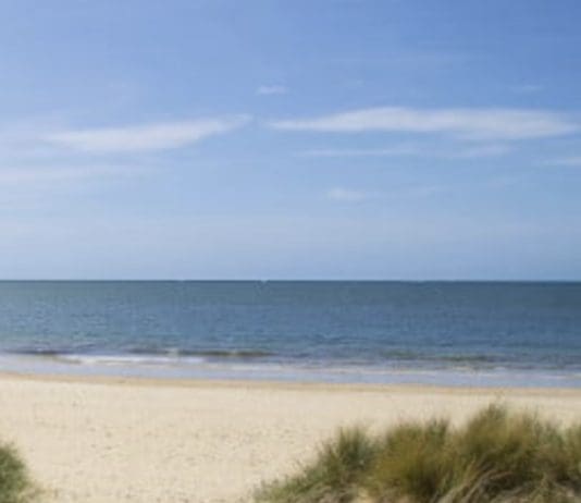 Have your say on sand dunes at Sandbanks