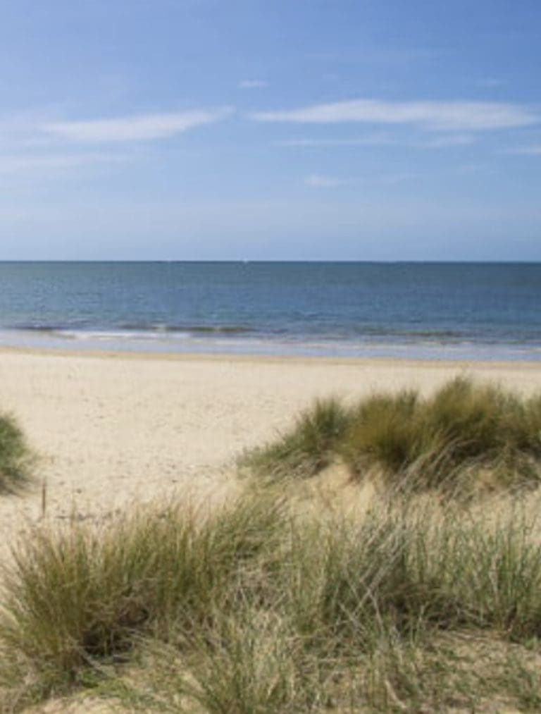 Have your say on sand dunes at Sandbanks