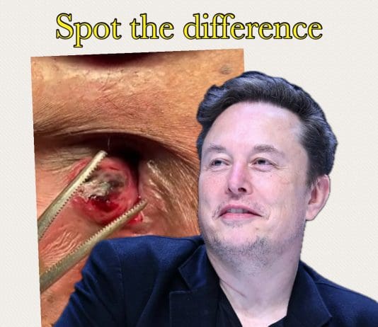 Elon Musk States That Far Right Reform UK Must Jettison Nigel Farage