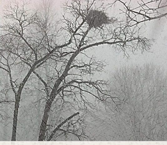 Postjournalism: The Anatomy of Manufactured Anger and Polarisation