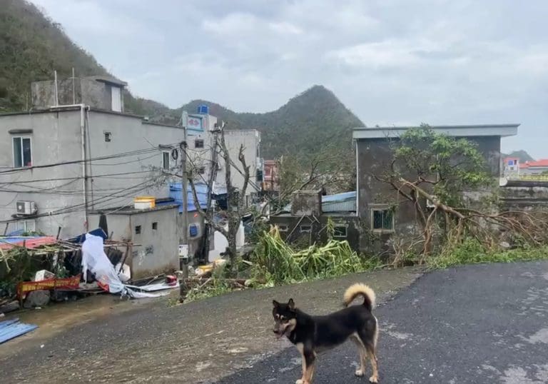 Two Dorset Men Reveal Terror in Vietnam as Typhoon Yagi Leaves a Trail of Destruction