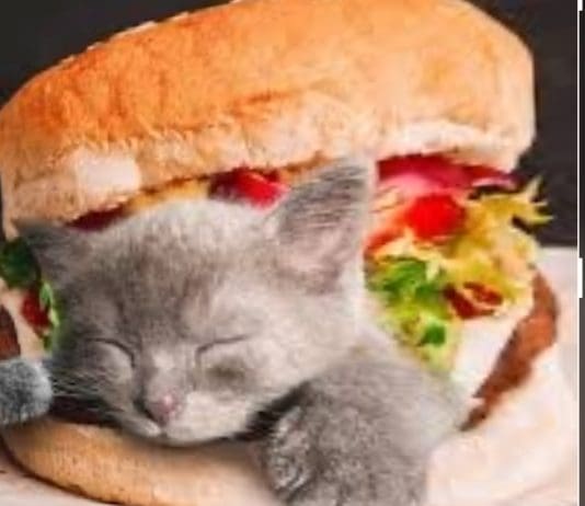 The Dangerous Spread of Misinformation and Racism: How Right-Wing Rhetoric Fuels Fear and Division