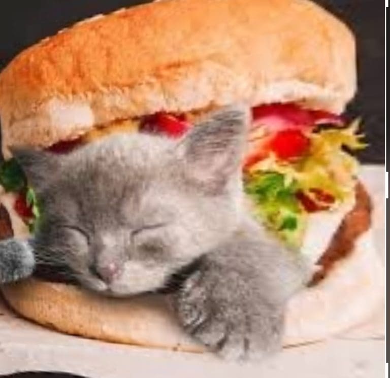 The Dangerous Spread of Misinformation and Racism: How Right-Wing Rhetoric Fuels Fear and Division