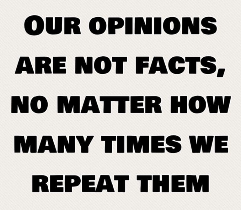 Opinions Can Be Interesting But Facts Are Vital