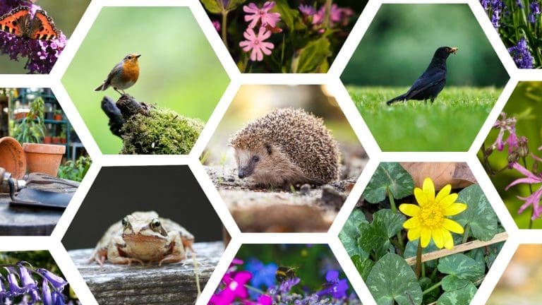 Chris Packham calls on Labour to act as new hunting report finds wildlife persecution is rife