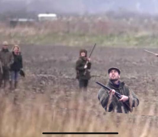 Prince William branded ‘hypocrite’ after he calls for nature protection