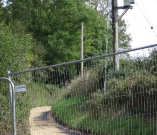 Dorset Cat Found Dead With Cord Around His Neck Prompts RSPCA Appeal