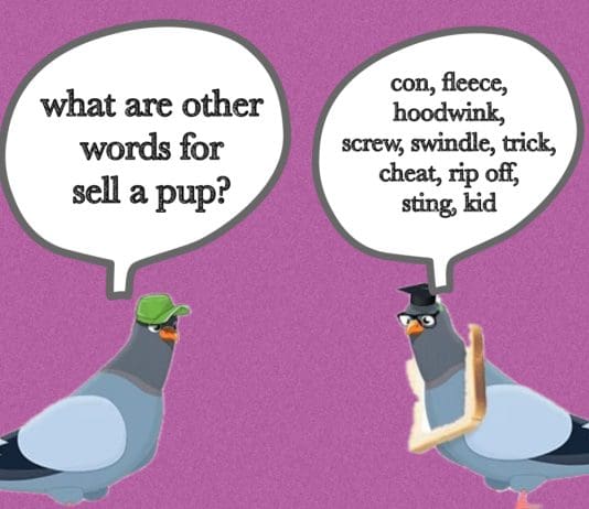 There Is No Financial Black Hole. We Have Been Sold A Pup