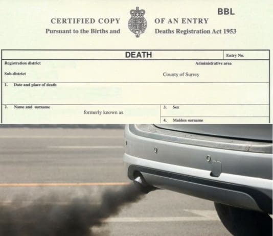 Many People Should Have On Their Death Certificates “Death By Petrol/Diesel Powered Vehicles”