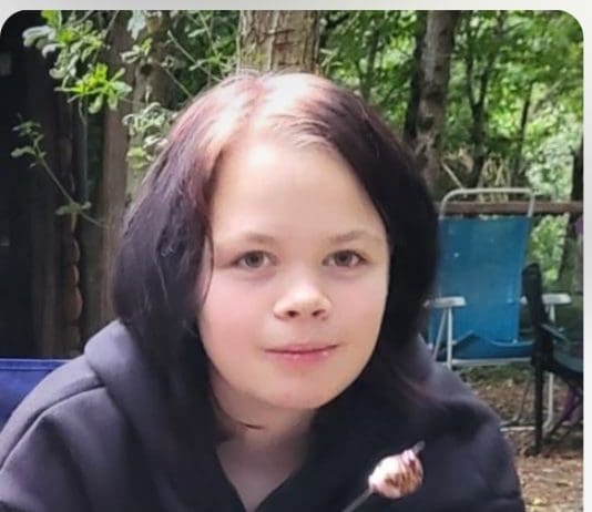 Police Very Concerned For Missing Teenager From Christchurch