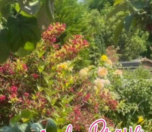 A Radical Green Industrial Strategy: Let’s Be Brave