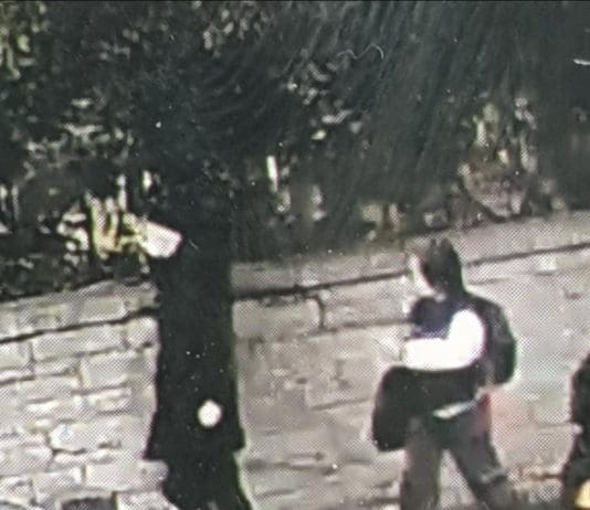 Missing 13 Year Old From Christchurch Seen Being Accompanied By Man In Images