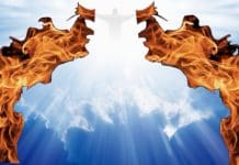 Never Mind Adam And Steve. The Old Testament Prohibits Capitalism And Eating Animals