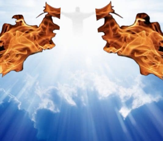 Never Mind Adam And Steve. The Old Testament Prohibits Capitalism And Eating Animals