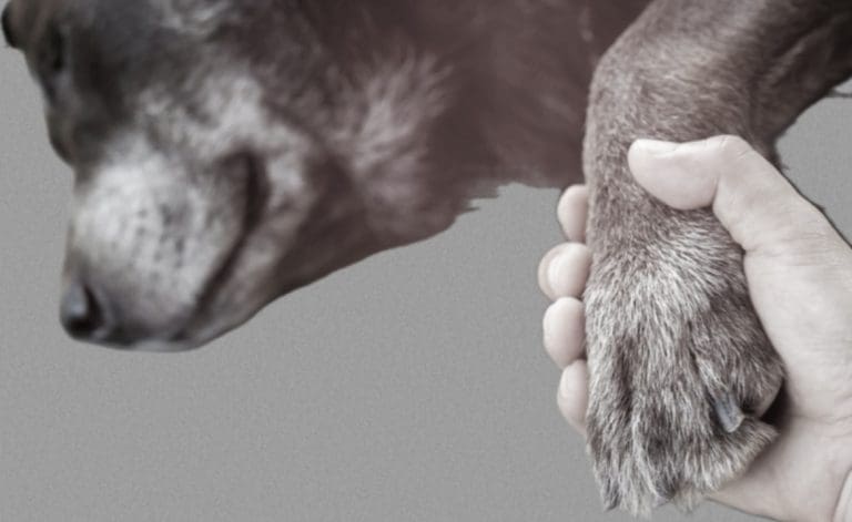 Be With Them Until The End