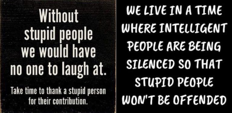 “More Than 100% Of Job Creation Has Gone To Migrants”. Right Wing Ideologues Must Be An Experiment In How Stupid People Are
