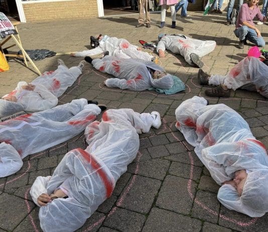 Successful Day of Action for Palestine in Weymouth As 70% Of Britons Call For Ceasefire