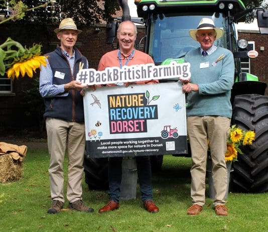 New Initiative To Restore Nature In Dorset Gets Underway Following Depressing Revelation