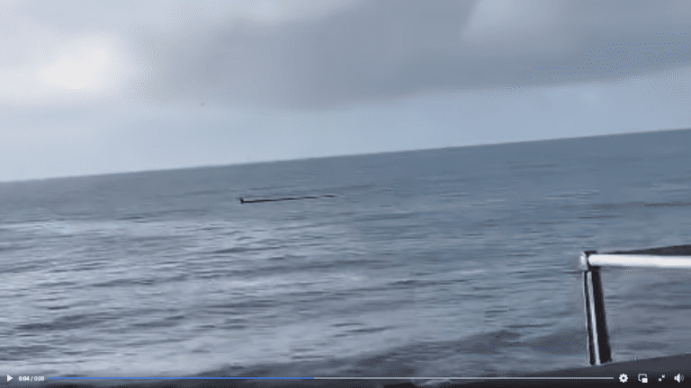 Loch Ness Monster Spotted On Holiday In Charmouth