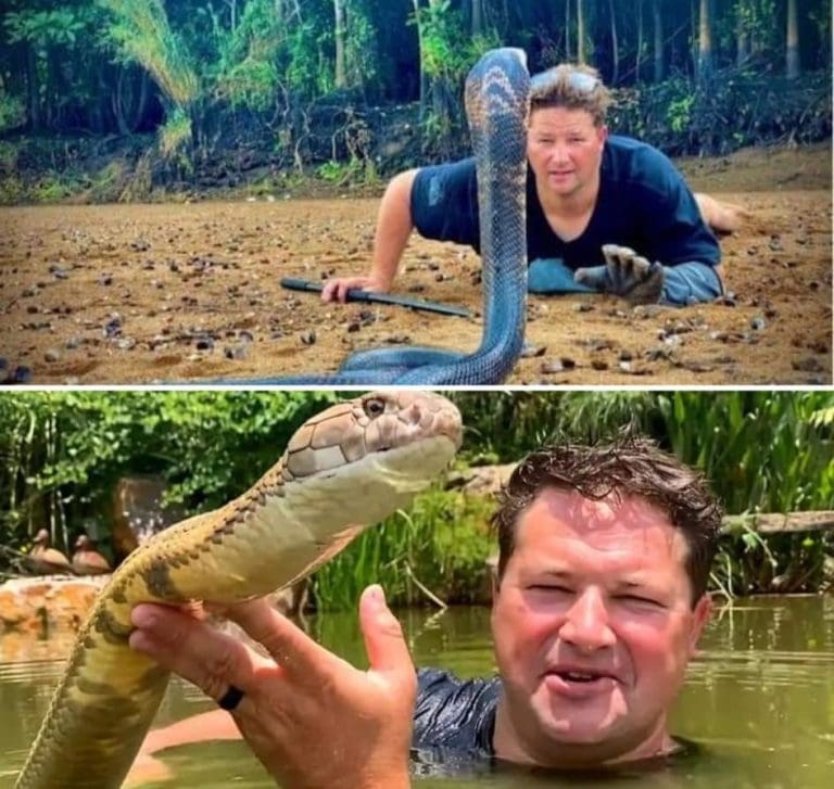 Graham ‘Dingo’ Dinkelman, Known As South Africa’s ‘Steve Irwin’ Dies Following Mamba Bite