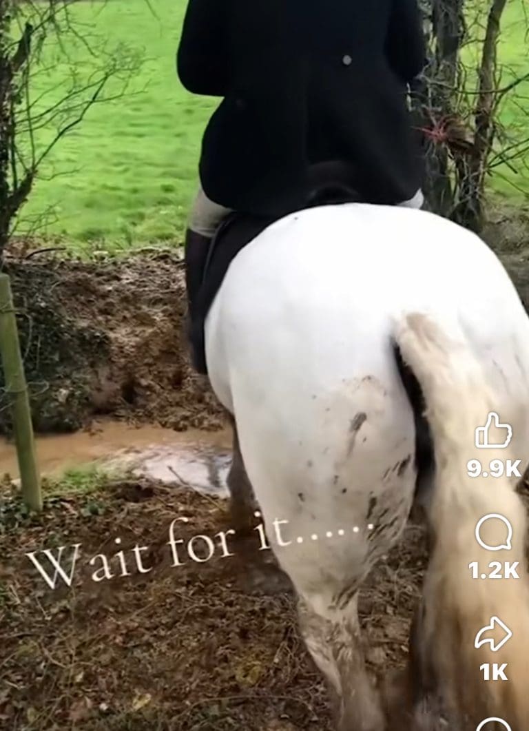 Exceptionally Clever Horse Does The Right Thing