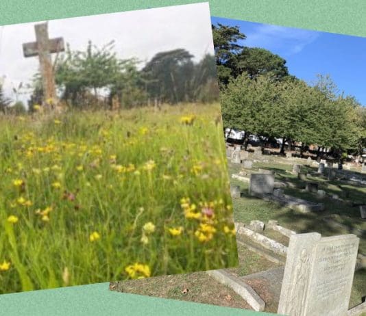 Weymouth Public Vote To Put Wildlife First In Local Cemeteries And Other Decisions…